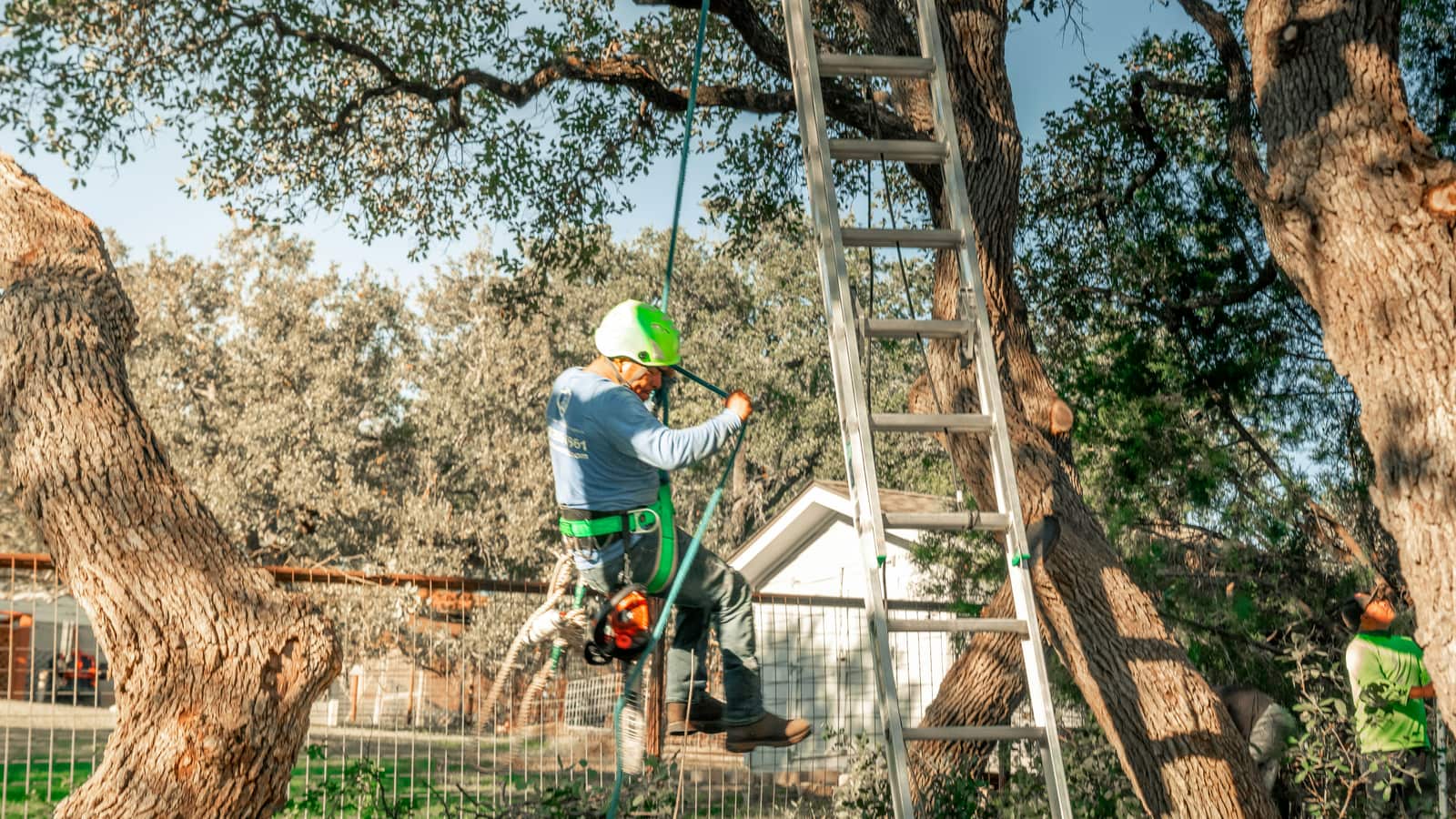Advanced Tree Solutions LLC