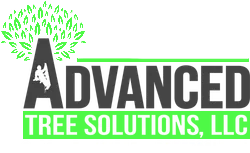 Advanced Tree Solutions LLC logo